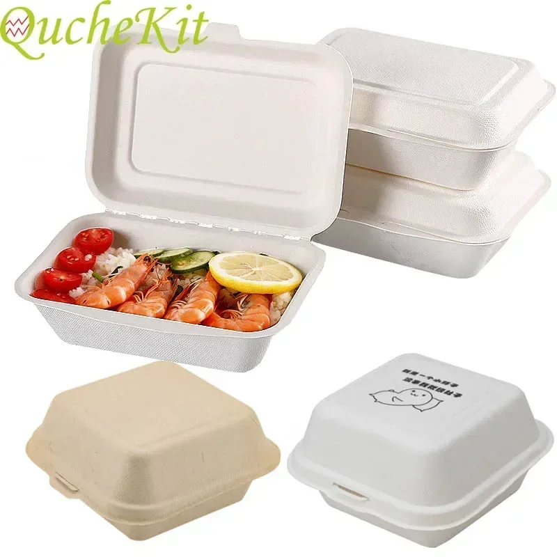 Baby Food Prep Containers - Boîte à Déjeuner Écologique en Forme